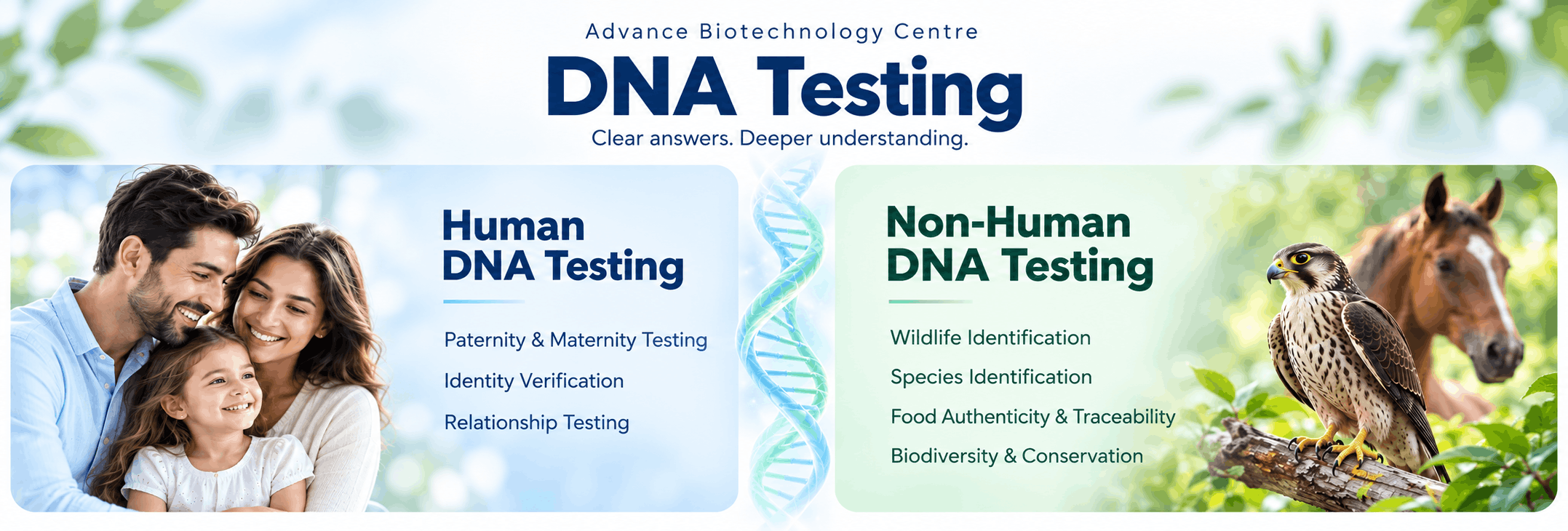 DNA (1)